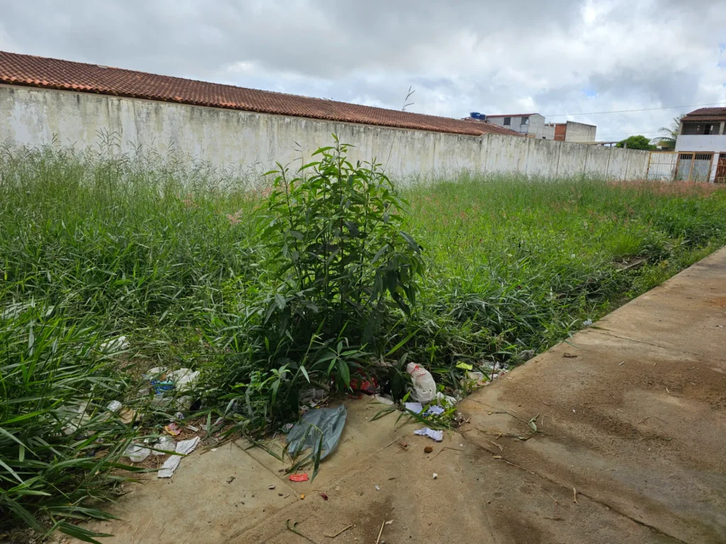 Terreno com mato alto e vegetação verde ao lado de uma calçada de concreto. Há lixo espalhado no chão, como sacolas plásticas, papéis e embalagens. Ao fundo, aparece um muro branco com manchas de desgaste e telhados de casas. O céu está nublado, com nuvens cinzas cobrindo grande parte da paisagem.