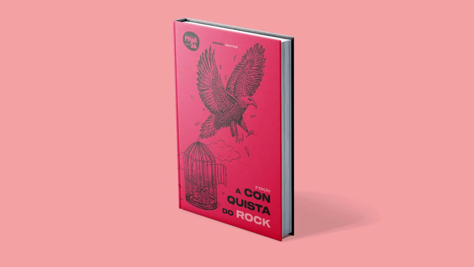 Livro de capa dura na cor rosa sobre um fundo rosa. A capa traz a ilustração em traços pretos de uma grande ave com asas abertas voando acima de uma gaiola aberta com pássaros saindo de dentro dela. O título na capa é A Conquista do Rock.