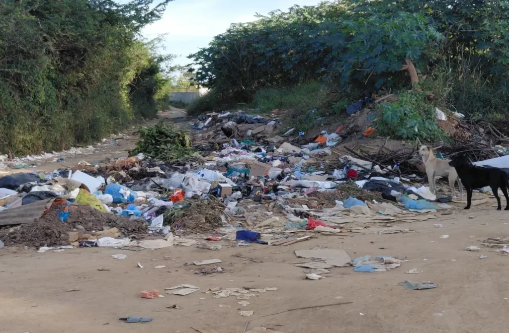 Estrada de terra coberta por uma grande quantidade de lixo e entulho. Os resíduos incluem plásticos coloridos, sacolas, papelões, pedaços de madeira e restos de vegetação. No lado direito da via, um cachorro preto e um cachorro de pelagem clara estão de pé próximos ao lixo. As laterais da estrada são cercadas por vegetação verde e densa, com arbustos altos e árvores sob um céu claro.