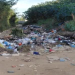 Estrada de terra coberta por uma grande quantidade de lixo e entulho. Os resíduos incluem plásticos coloridos, sacolas, papelões, pedaços de madeira e restos de vegetação. No lado direito da via, um cachorro preto e um cachorro de pelagem clara estão de pé próximos ao lixo. As laterais da estrada são cercadas por vegetação verde e densa, com arbustos altos e árvores sob um céu claro.