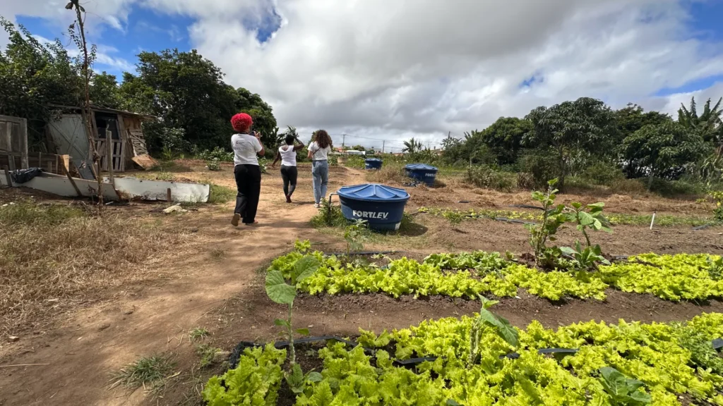 Três pessoas caminham de costas por uma trilha de terra em uma horta comunitária ao ar livre. À esquerda, uma pessoa usa calça preta e blusa branca. No centro, outra pessoa veste calça escura e blusa branca. À direita, a terceira pessoa veste calça jeans clara e blusa branca. No primeiro plano, canteiros de terra exibem pés de alface verde-clara bem cultivados. Três caixas d'água de plástico azul estão espalhadas pelo terreno.